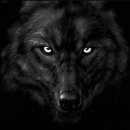 Black_Wolf