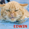 EDWIN