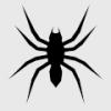 SPIDER-T1